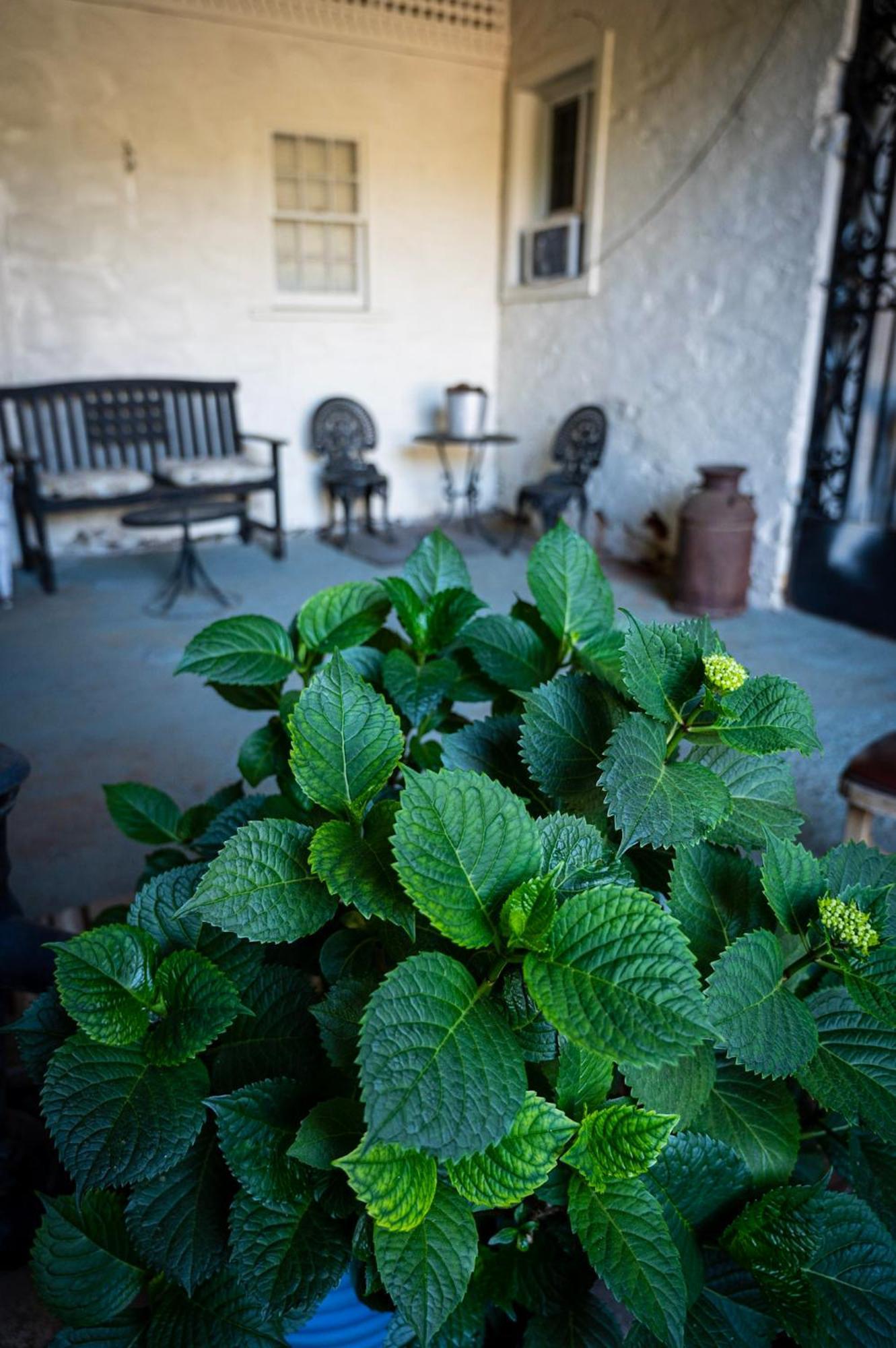 Gunn House Hotel Sonora Exterior photo